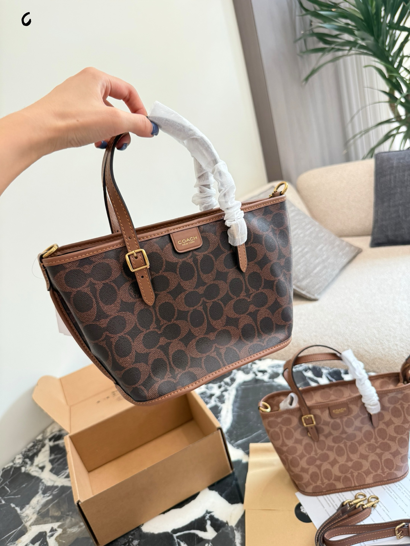 Coach Mini Tote Taxi 21: Bolso Cesta Moderno y Ligero, 21 cm 5 i1759221097769 7956 0 3