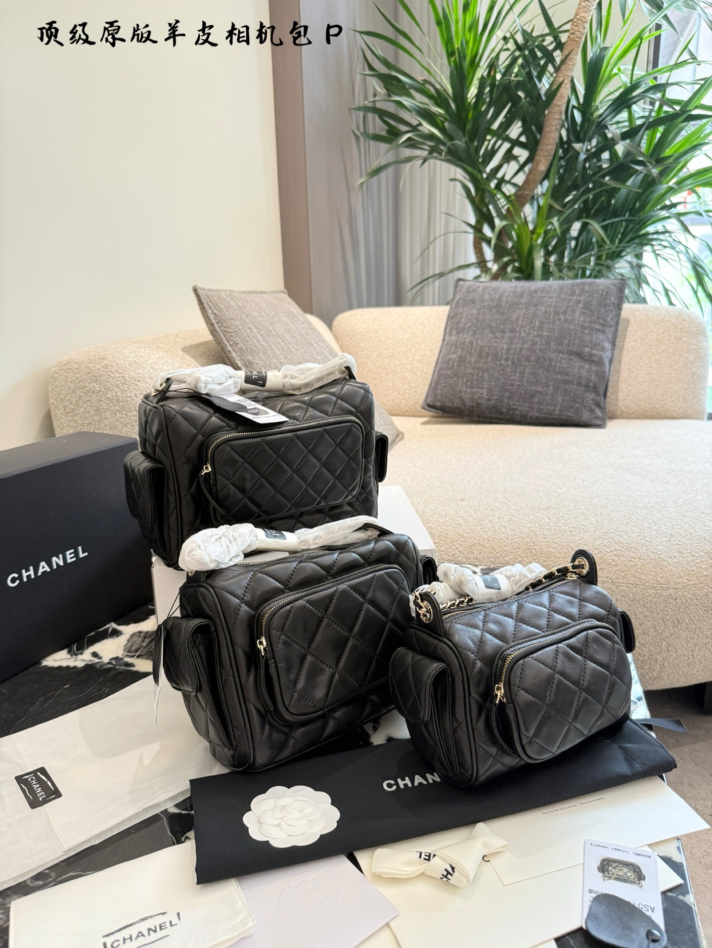 i1759476671426 7937 0 6