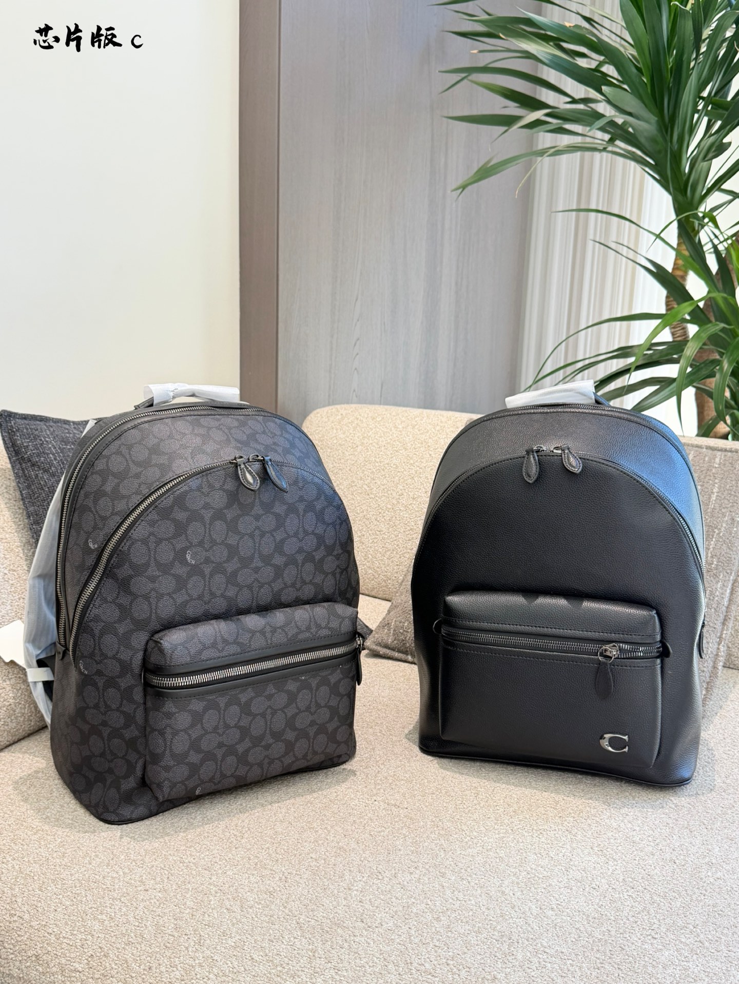 Alternative view of Backpack 11342