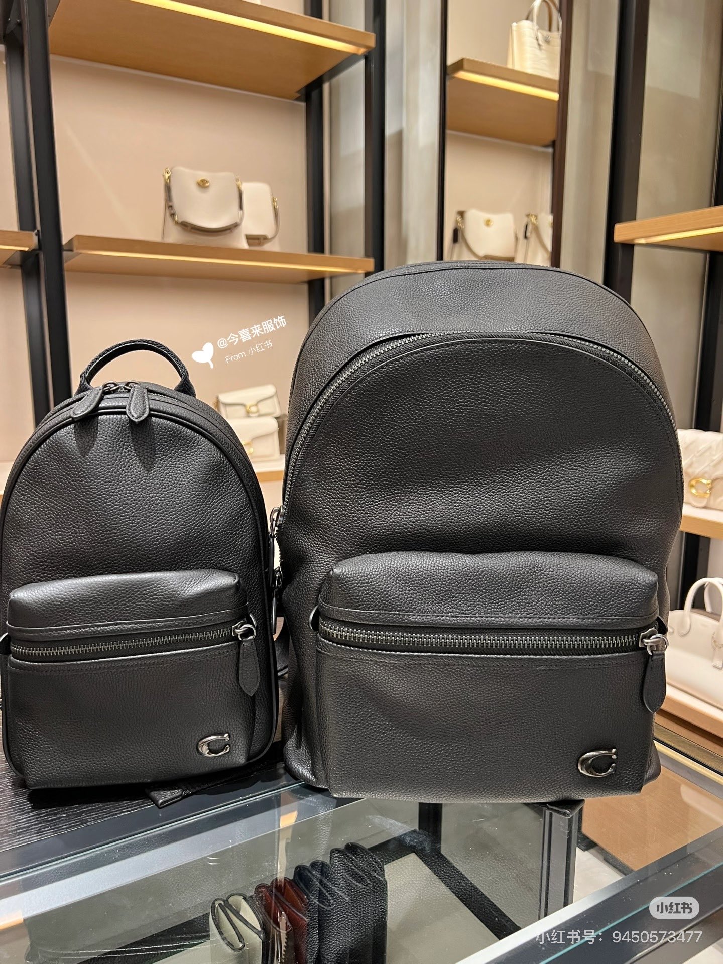 Backpack 11341