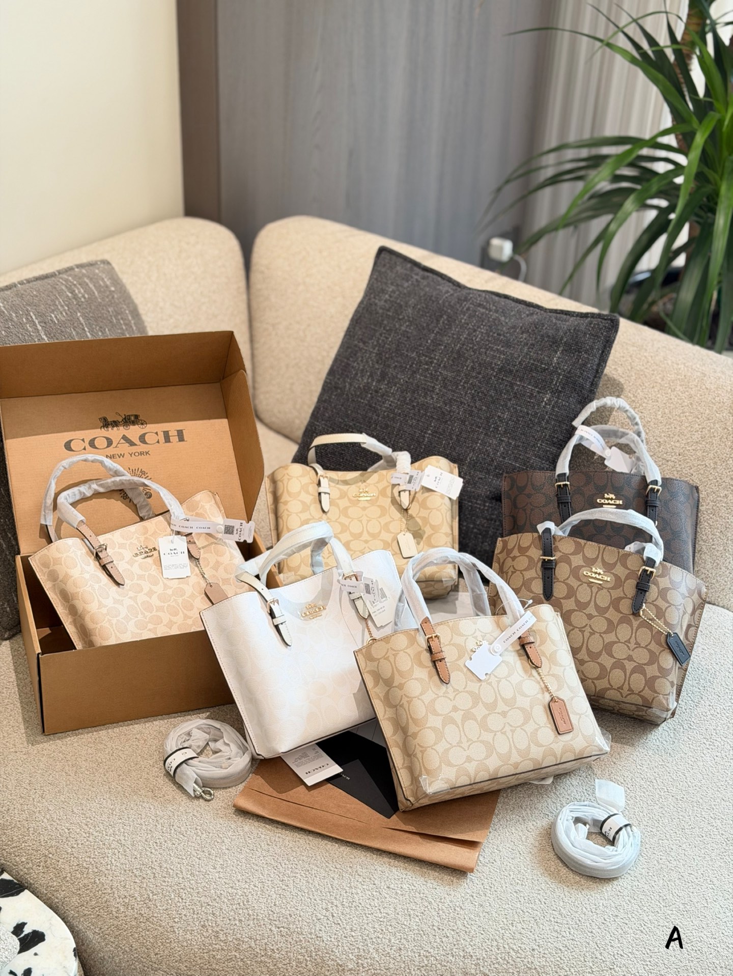 Coach Mollie 25 bolso tote 👜 Coach Mollie 25 bolso tote, material clásico de PVC con estampado + ribete de cuero marró…