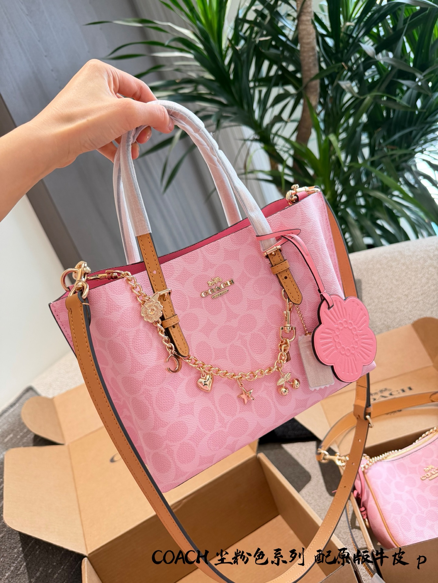 Bolso tote Coach Mollie25 rosa 🌸 Bolso tote Coach Mollie25 rosa, edición limitada de San Valentín, cuero mate en tono …