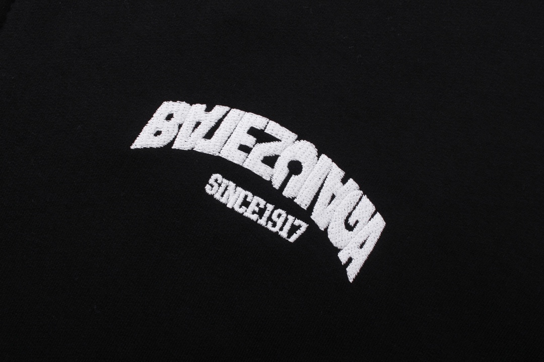 Balenciaga Paris 2024 Anti-Alias Big Logo Hoodie with Zipper: Review and Details - 图片 5