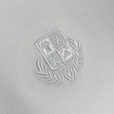 。Loro piana 1926春夏新品翻领Polo短袖 时尚单品设计,更加时尚舒适,高标准定制,上身 。Loro piana 1926春夏新品翻领Polo短袖 时尚单品设计,更加时尚舒适,高标准定制,上身
