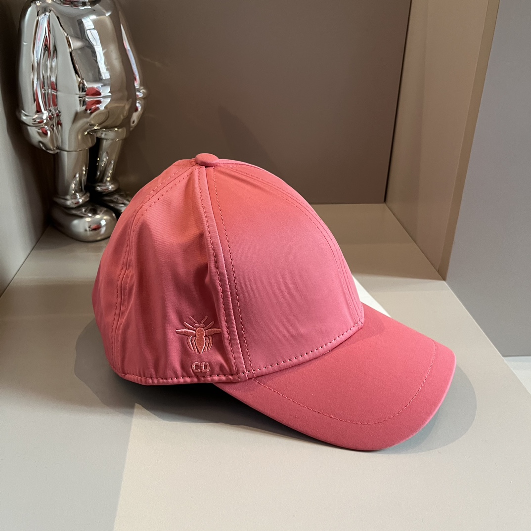 ¥ Gorra de béisbol Dior
