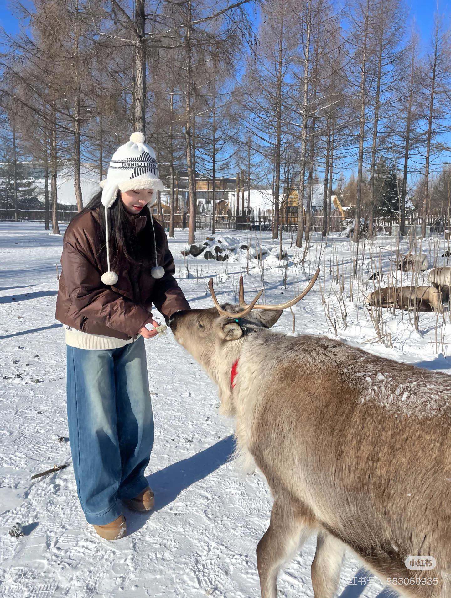 NO:216326,Dior autumn and winter new ear protection hat fisherman hat baseball hat knit hat, hat, dior, dior, espadrilles, hats19860909Dior迪奥秋冬新款护耳帽帽子渔夫帽棒球帽针织帽,帽子,dior,dior,espadrilles,hats,hat