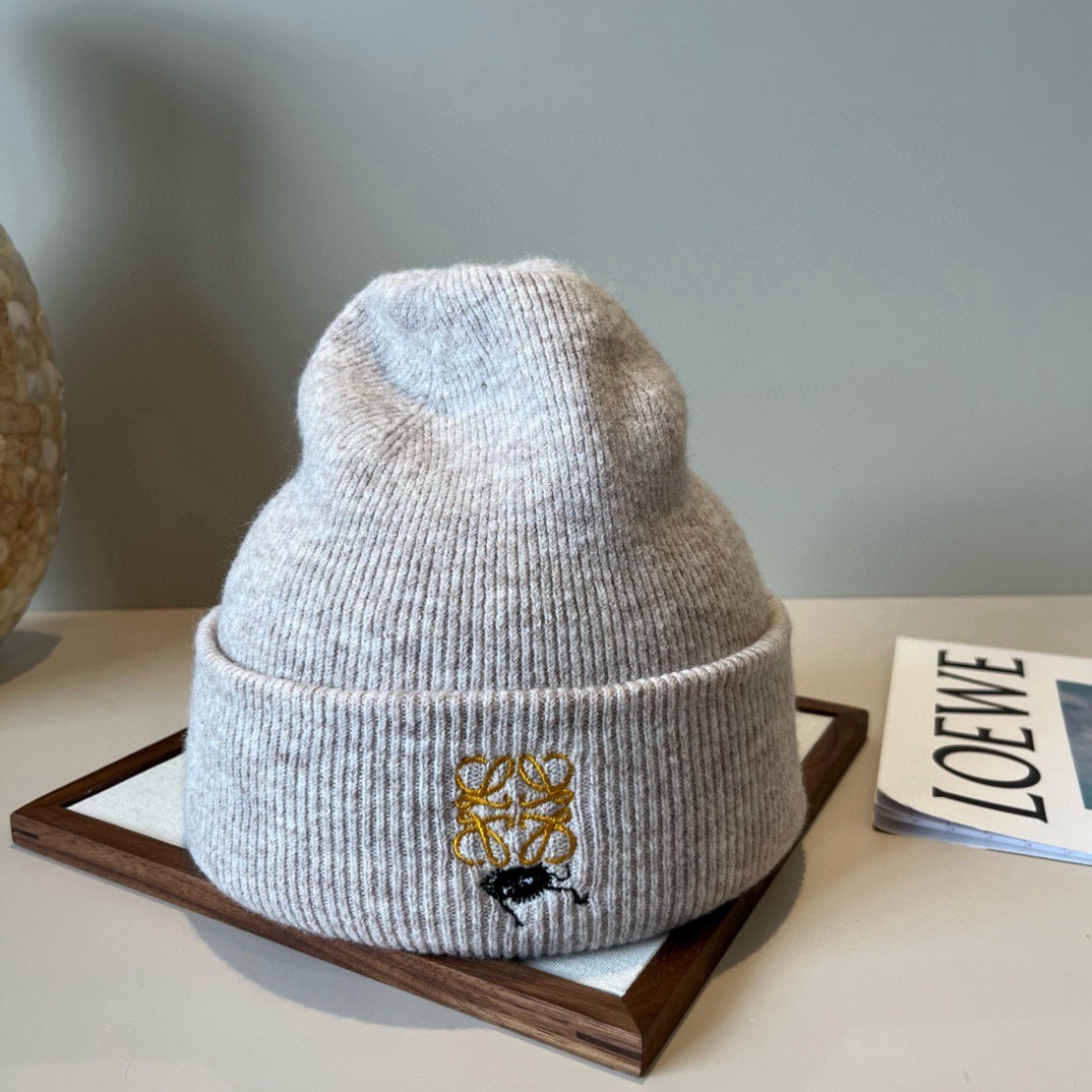 Loewe hat ¥