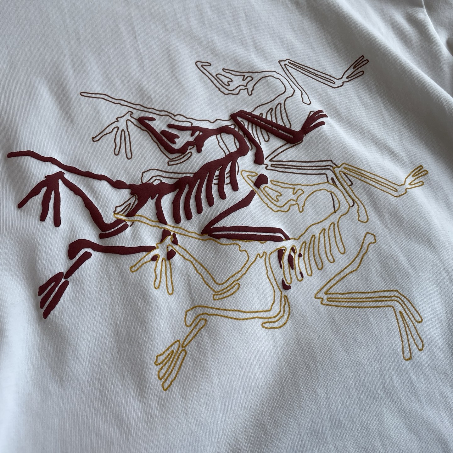 🖤细节图
夏季品质好货🆕🖤ARC'TERYX / 始祖鸟 三色logo 太美了鸟家年度最优质的印花发泡浮
