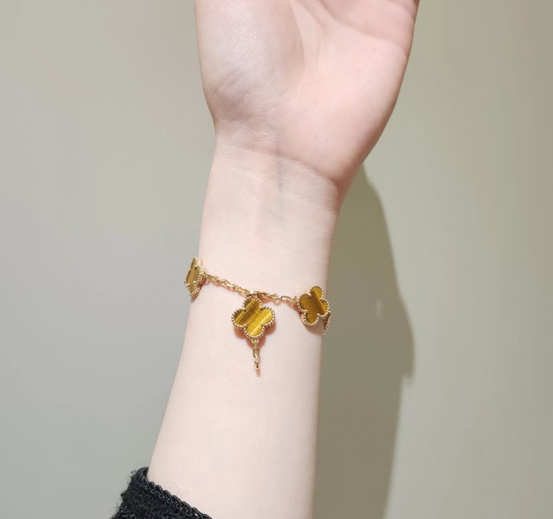 Limited Edition Zhuan Family Bracelet: Stunning Rose Gold and Gold Plating (158) - 图片 5