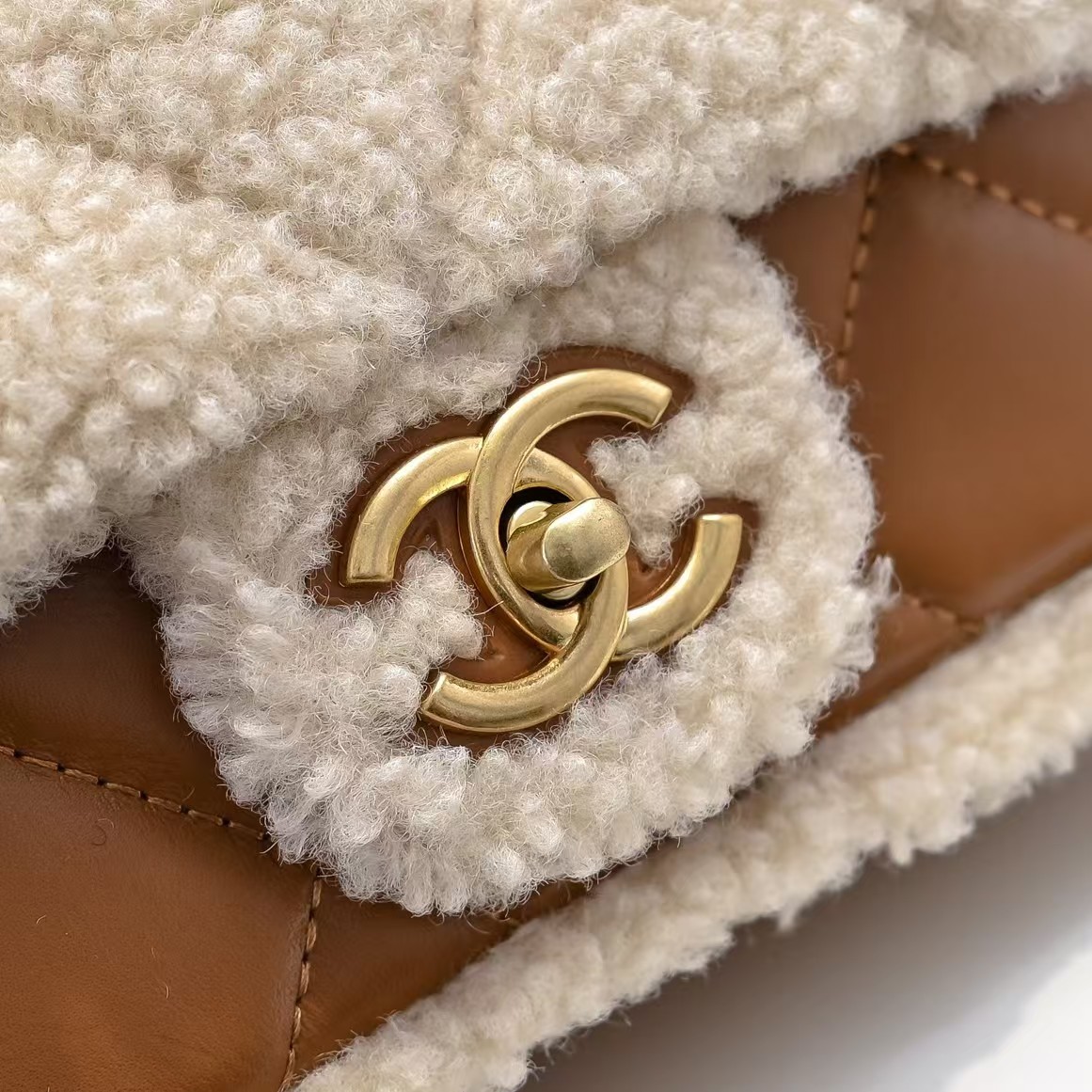 Small 24K Teddy Shearling Bag - Comprehensive 5