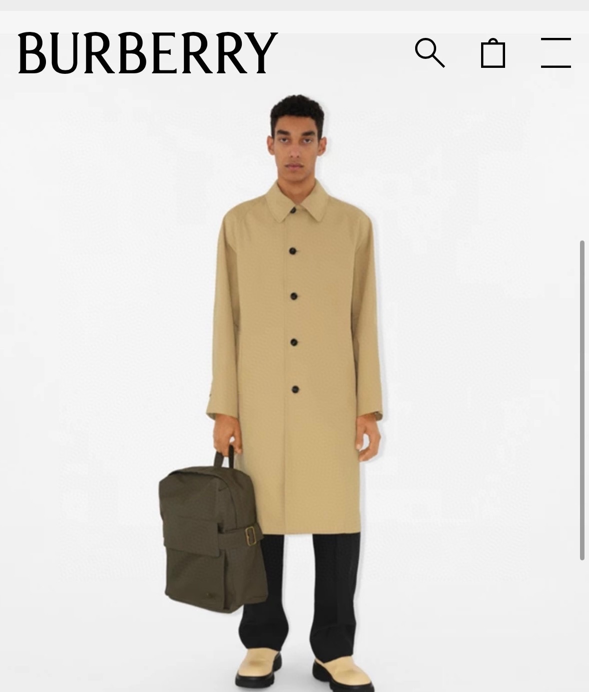 Burberry Official website picture