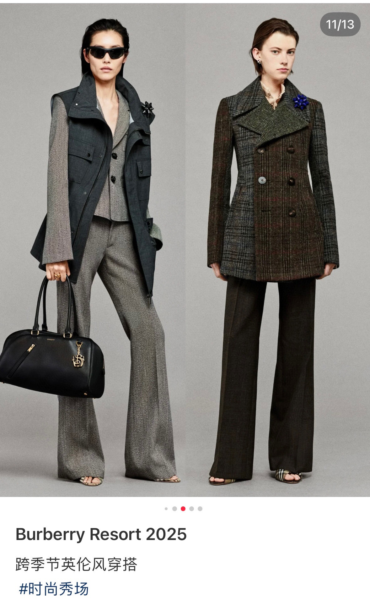 Burberry Resort 2025 latest fashion bags
