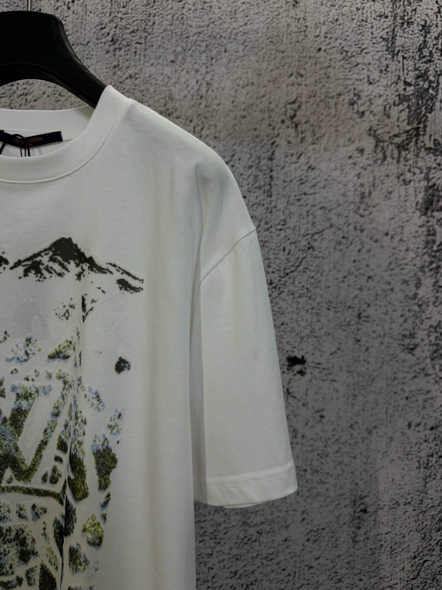 Louis Vuitton LOUIS VUITTON 路易威登 lv26ss Ski系列雪山植绒棉质短袖T恤衫