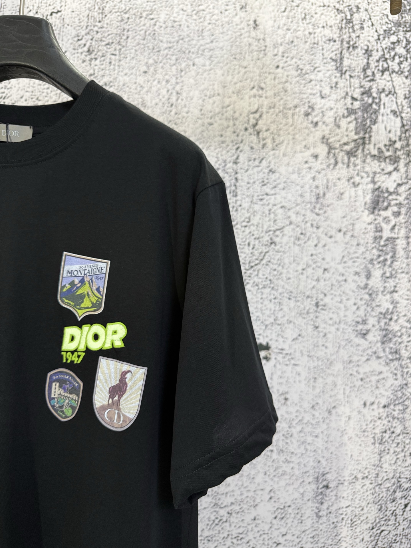 Dior Dior 迪奥 26ss CD 印花刺绣标识短袖T恤