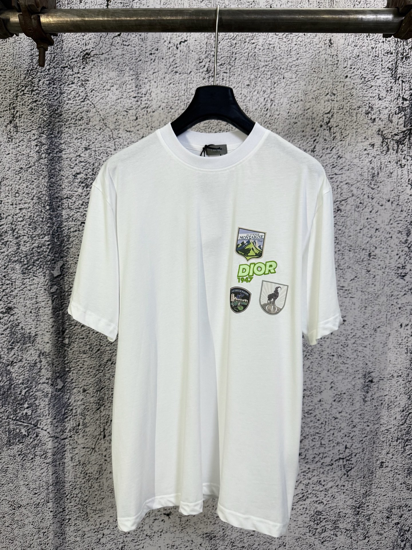 Dior Dior 迪奥 26ss CD 印花刺绣标识短袖T恤