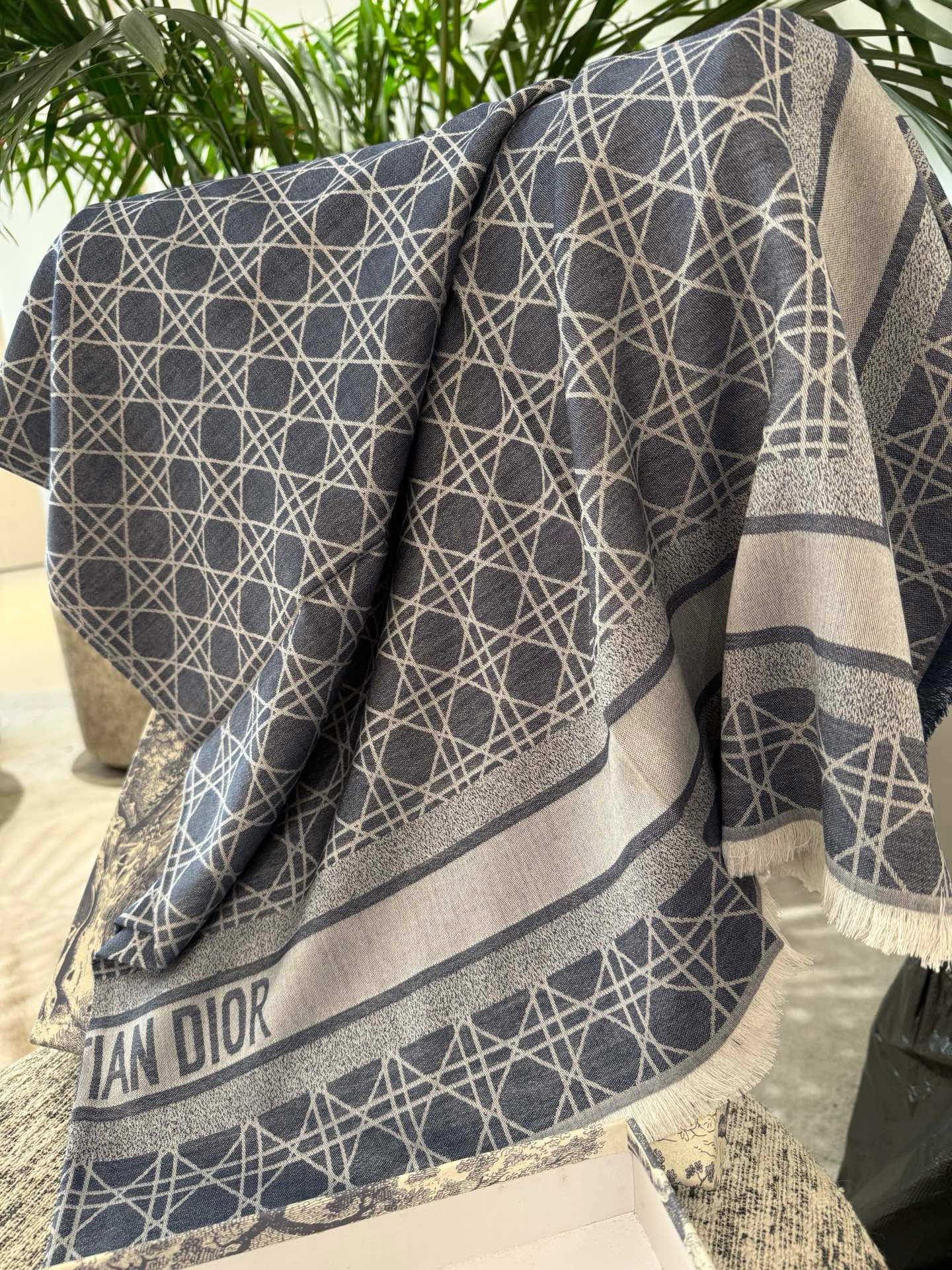 P高段位！是Dior的女人！经典藤格纹新演绎！！】实物有被惊艳到！！Dior今年25秋冬新出的Canna