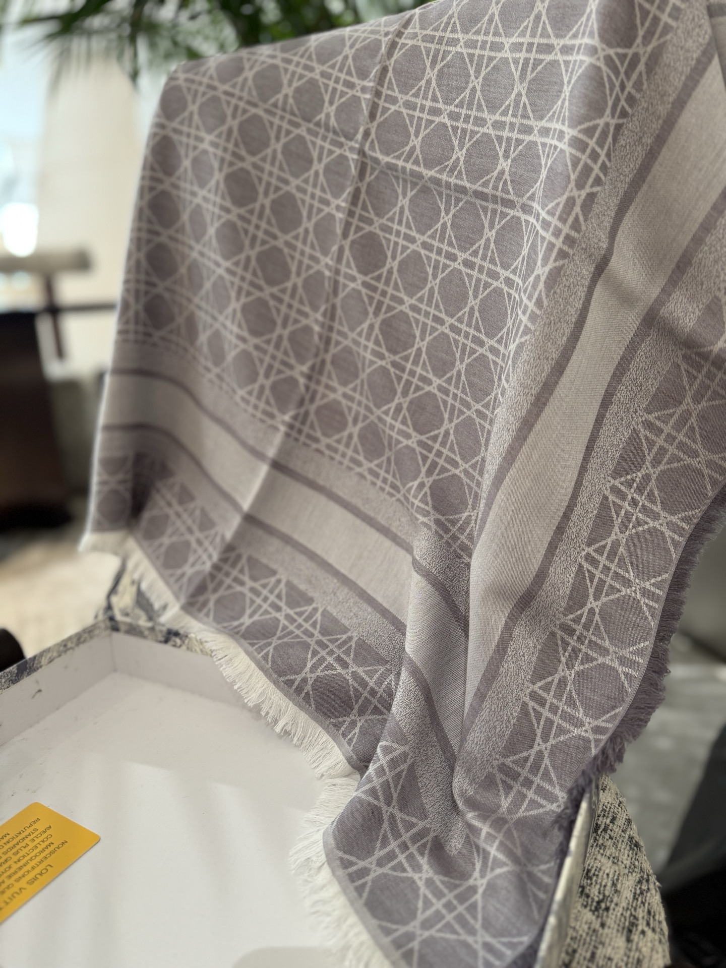 P高段位！是Dior的女人！经典藤格纹新演绎！！】实物有被惊艳到！！Dior今年25秋冬新出的Canna