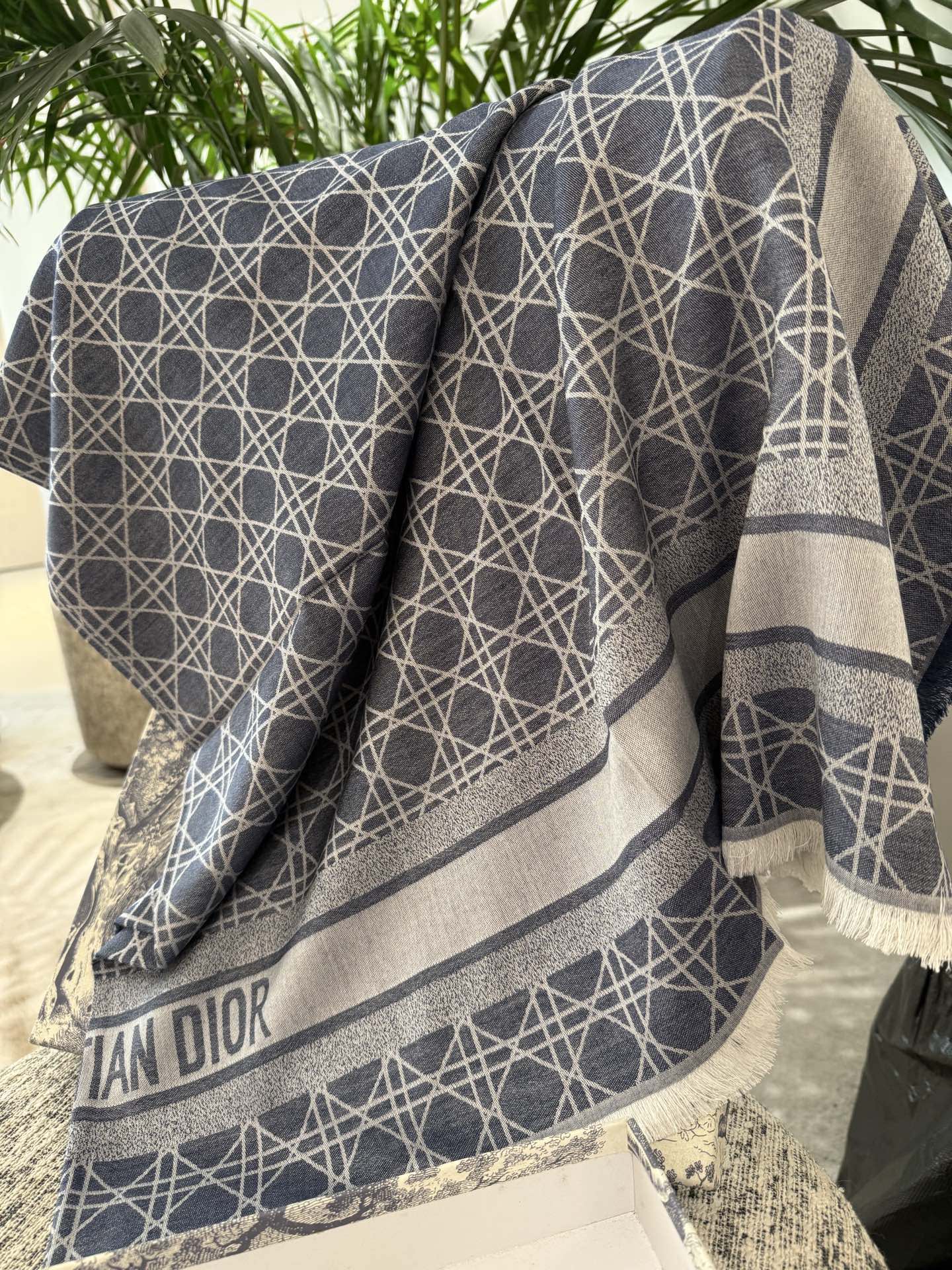 P高段位！是Dior的女人！经典藤格纹新演绎！！】实物有被惊艳到！！Dior今年25秋冬新出的Canna