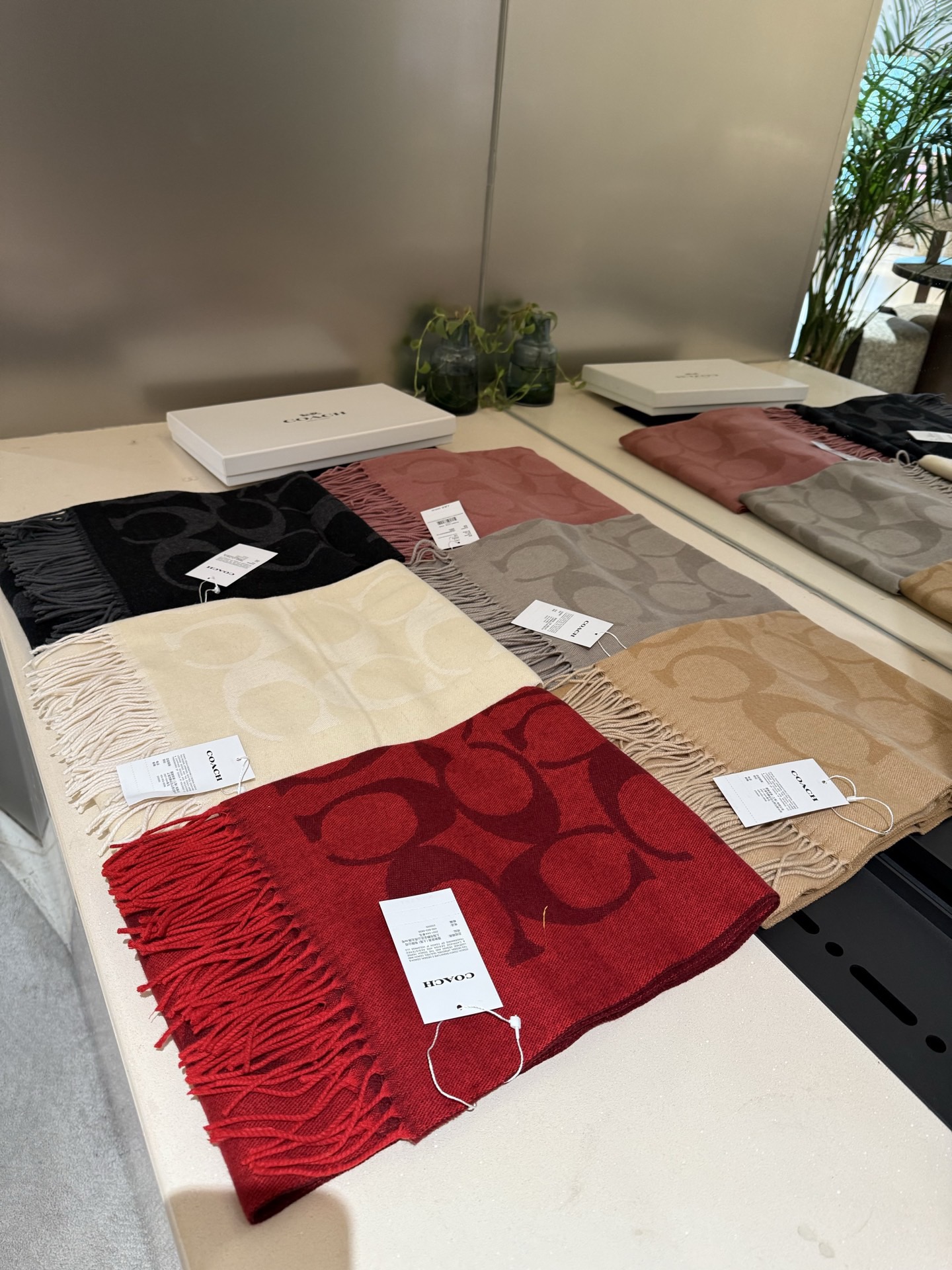 P蔻驰 2025年新款到！Coach爆款！6色披肩也太好看了吧！不仅有颜值还有品质，手感超级软糯和舒服，