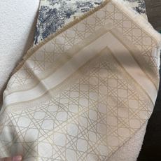 PDior26新款《金银丝提花披肩》 双F提花大方巾,专柜新品·双面呈现出华丽的珠光质感,面料柔软薄厚适中,出游必备呀! PDior26新款《金银丝提花披肩》 双F提花大方巾,专柜新品·双面呈现出华丽的珠光质感,面料柔软薄厚适中,出游必备呀!