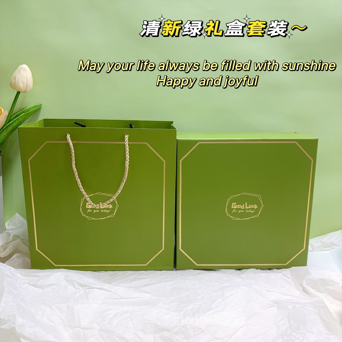 🌿16.9 一件60套