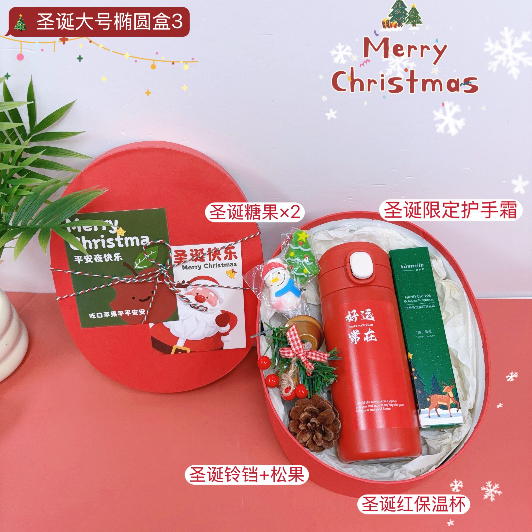 🎄下单4天左右发 一件24套