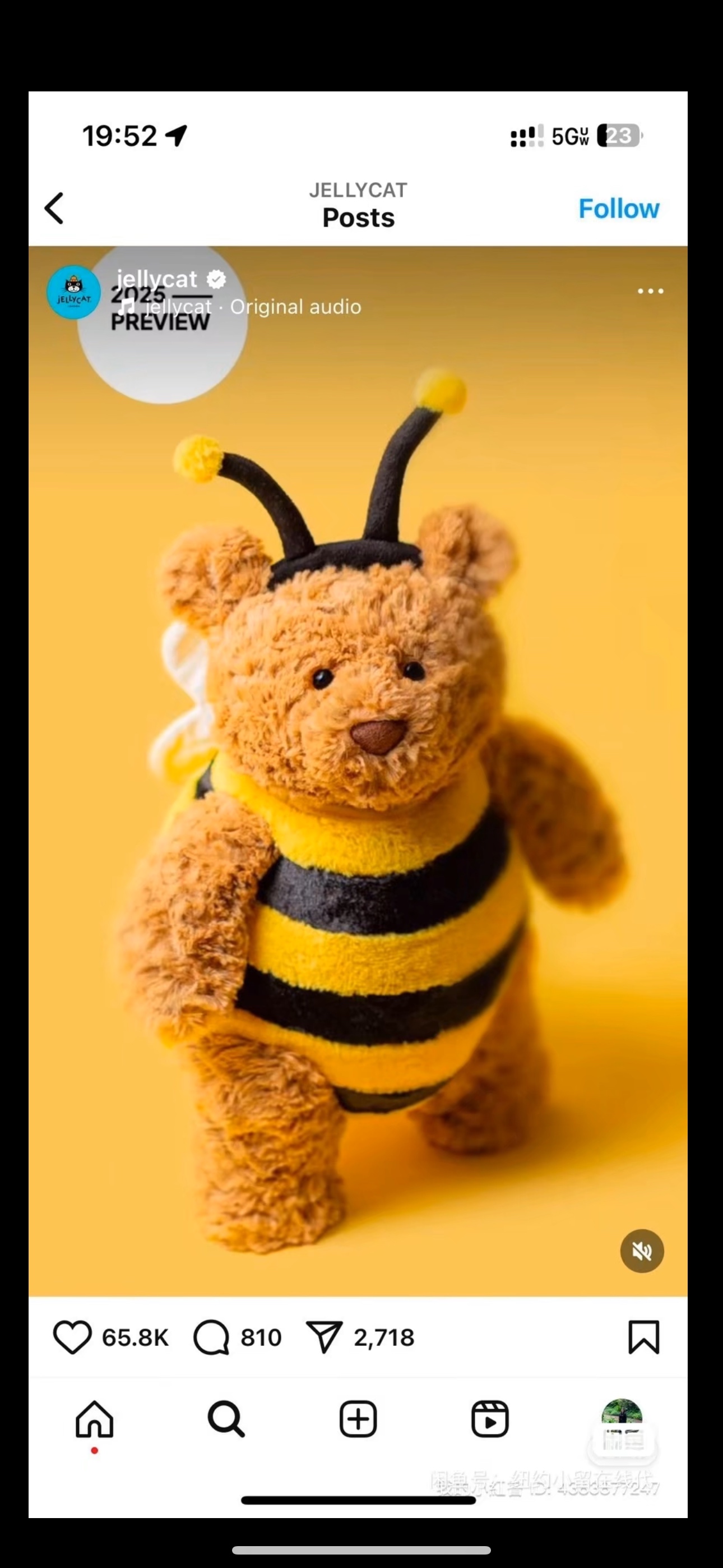 NO:809083,The latest design of the 25 summer bee bear is here, freshly baked!  Bee Bear is pure cute~, trendy department store Jellycat doll1986090925夏季最新设计款蜂熊来啦 新鲜出炉！蜜蜂熊纯可爱～,潮品百货Jellycat公仔,accessory