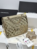 Chanel Backpack Crossbody & Shoulder Bags Gold Pink Silver Chains