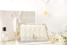 Dior Handbags Clutches & Pouch Bags White Sheepskin Spring Collection Chains