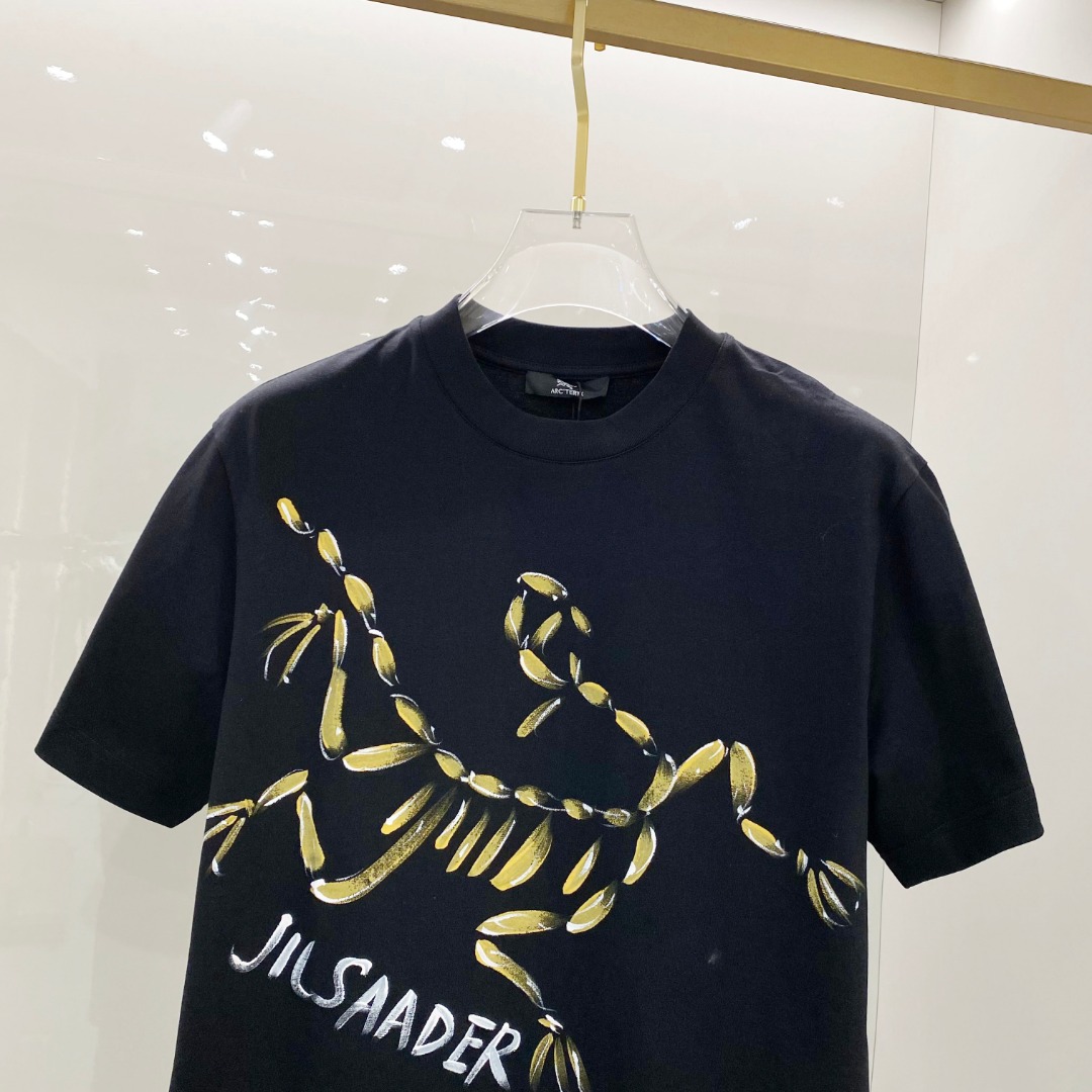  始祖鸟 2025ss春夏新款棉质圆领短袖T恤 胸前手绘涂鸦工艺 顶级丝光棉面料定制 标准版型
黑 白 