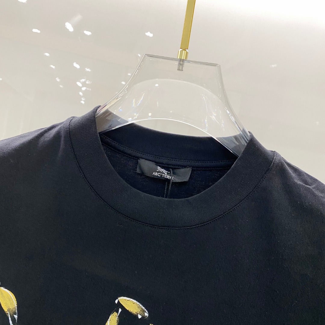  始祖鸟 2025ss春夏新款棉质圆领短袖T恤 胸前手绘涂鸦工艺 顶级丝光棉面料定制 标准版型
黑 白 