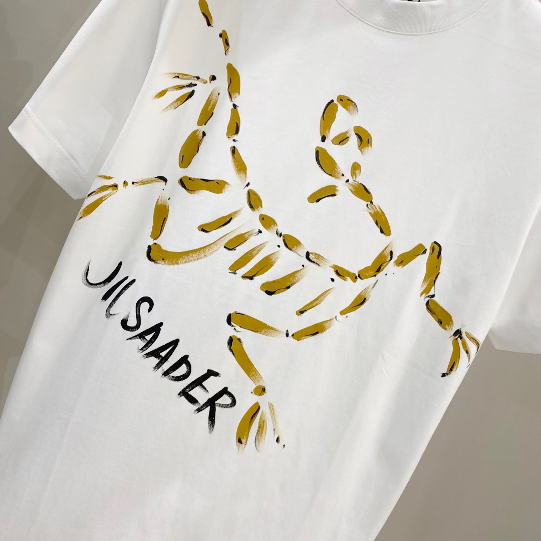  始祖鸟 2025ss春夏新款棉质圆领短袖T恤 胸前手绘涂鸦工艺 顶级丝光棉面料定制 标准版型
黑 白 