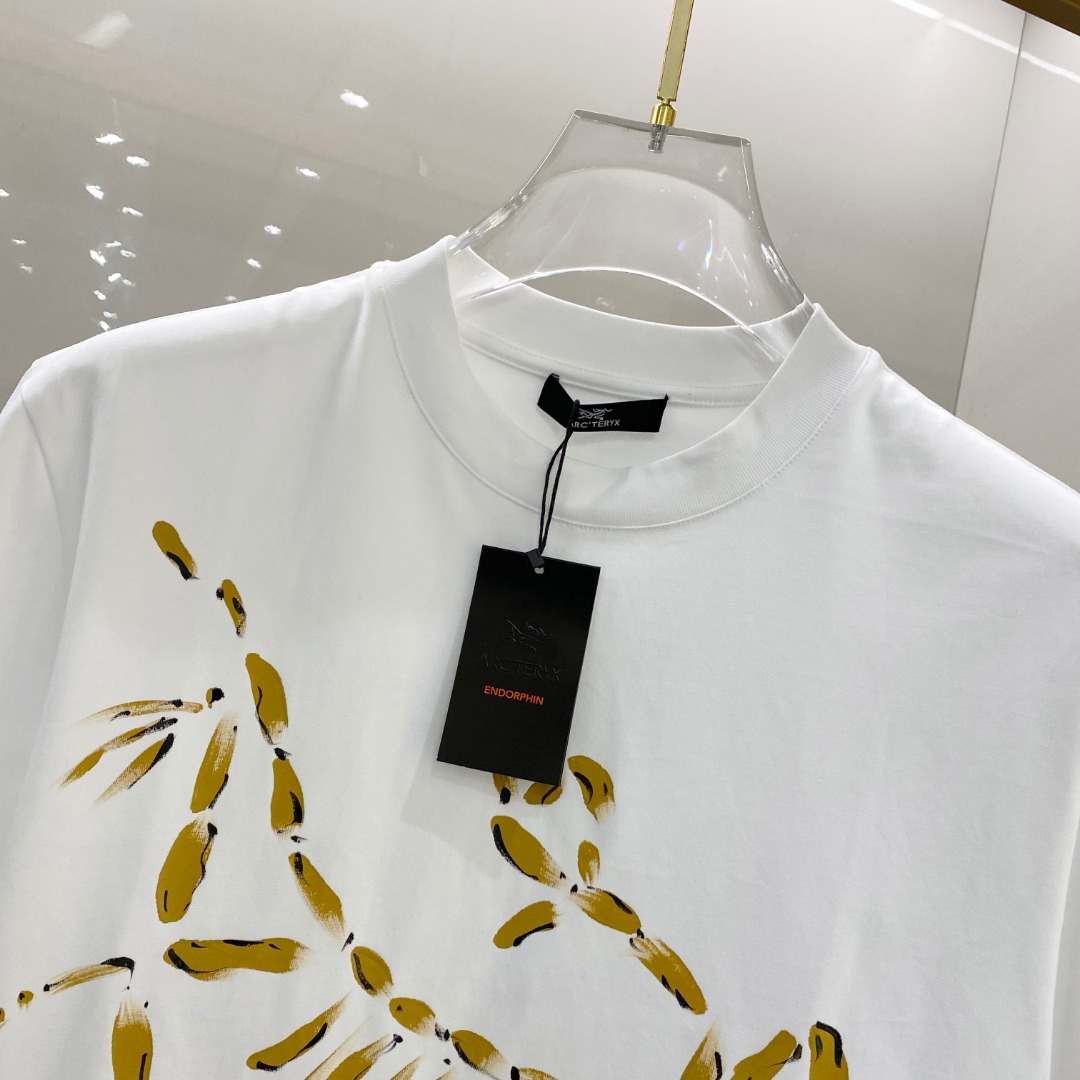  始祖鸟 2025ss春夏新款棉质圆领短袖T恤 胸前手绘涂鸦工艺 顶级丝光棉面料定制 标准版型
黑 白 