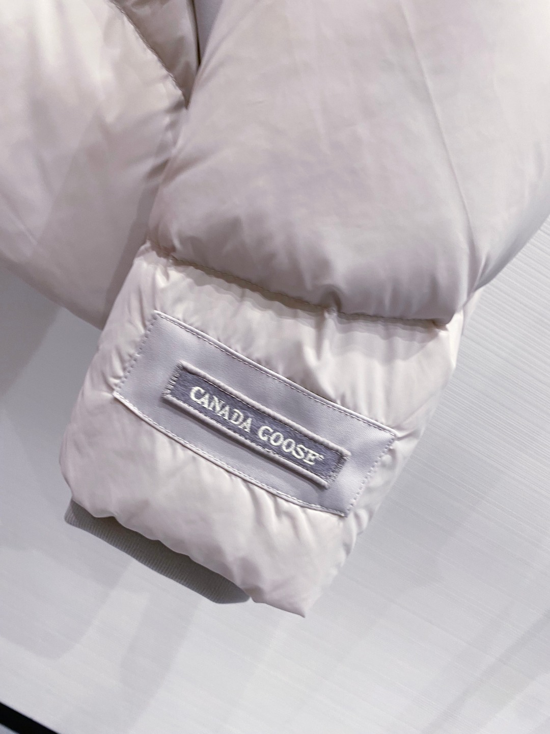 Canada Goose(加拿大鹅) FW2025新款羽绒服。连帽设计，男女同款，时尚感满满。采用定制面