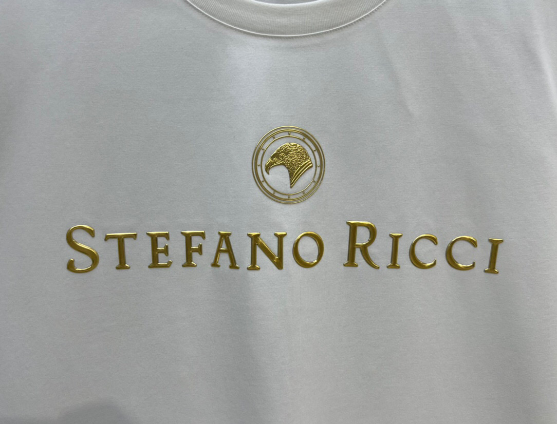 
Stefano Ric*ci/史蒂芬劳 • 尼治男装立体金色压花短袖T恤，正面装饰品牌字母鹰头经典元素