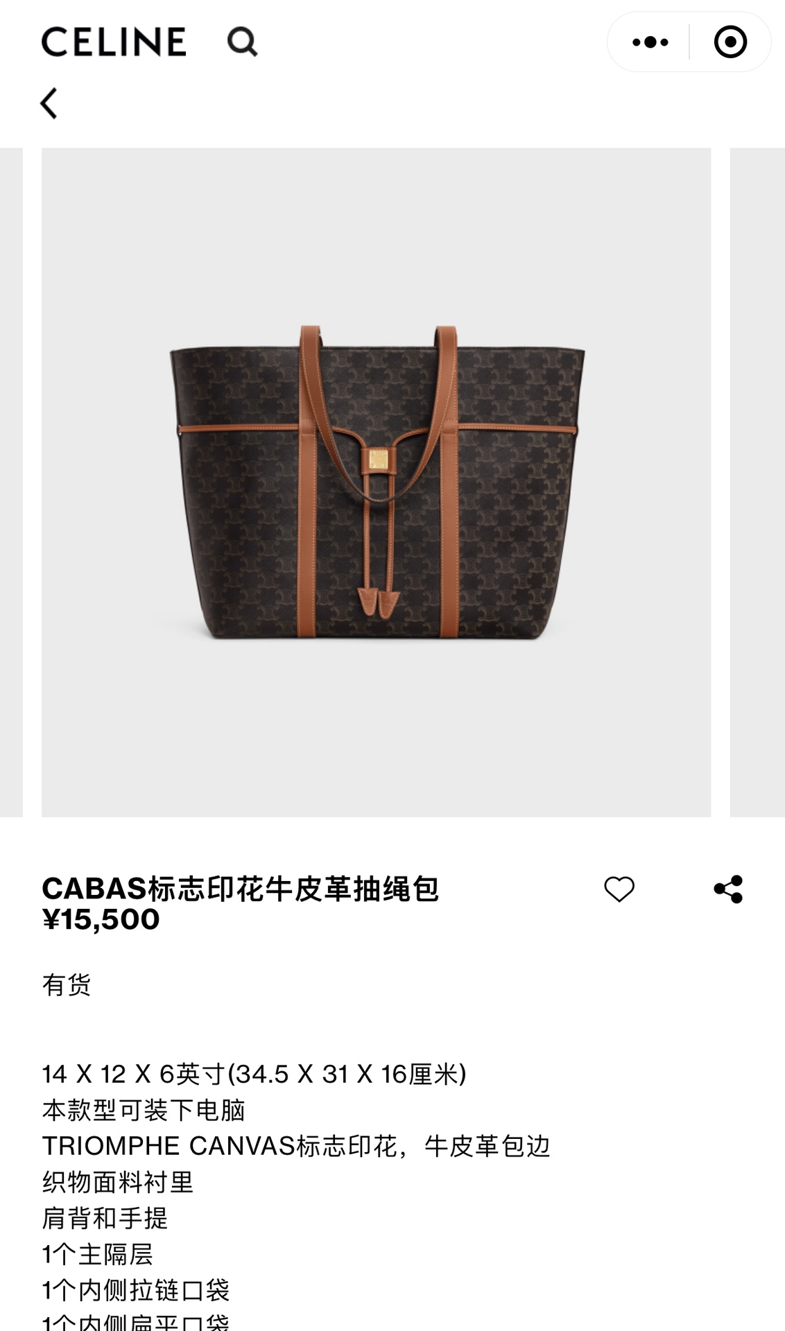 Celine Shopping Tote Bag from the Latest Collection - Comprehensive