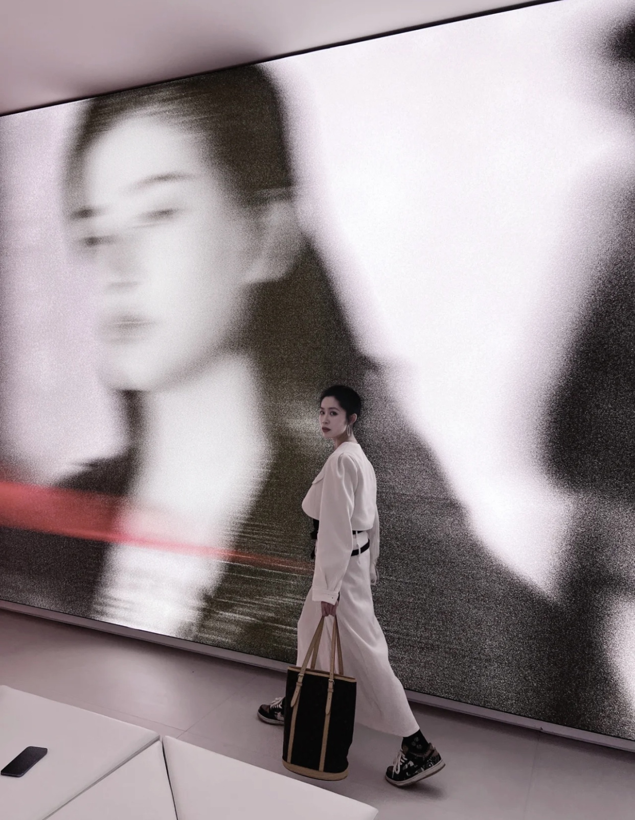 Louis Vuitton Luxury Handbag Collection 3