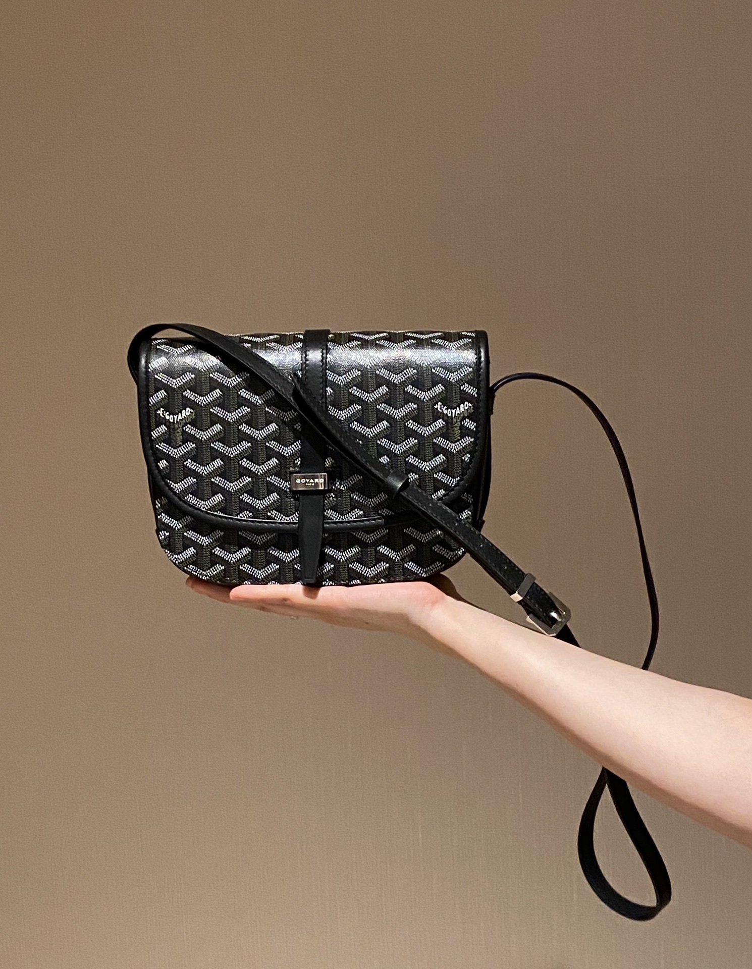 Goyard Luxury Handbag Collection 4