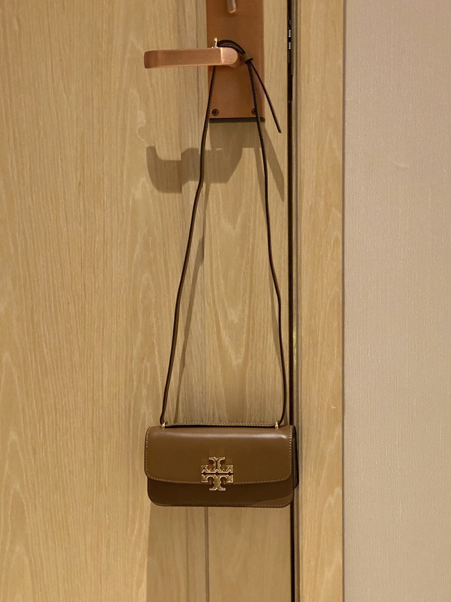 Celine Luxury Handbag Collection 2