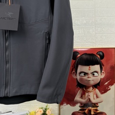 ARCTERYX GAMMA MX始祖鸟防风冲锋衣 秋冬城市通勤和户外攀岩运动,防风耐磨透气 相比于冲锋衣 上身更加舒适 ARCTERYX GAMMA MX始祖鸟防风冲锋衣 秋冬城市通勤和户外攀岩运动,防风耐磨透气 相比于冲锋衣 上身更加舒适