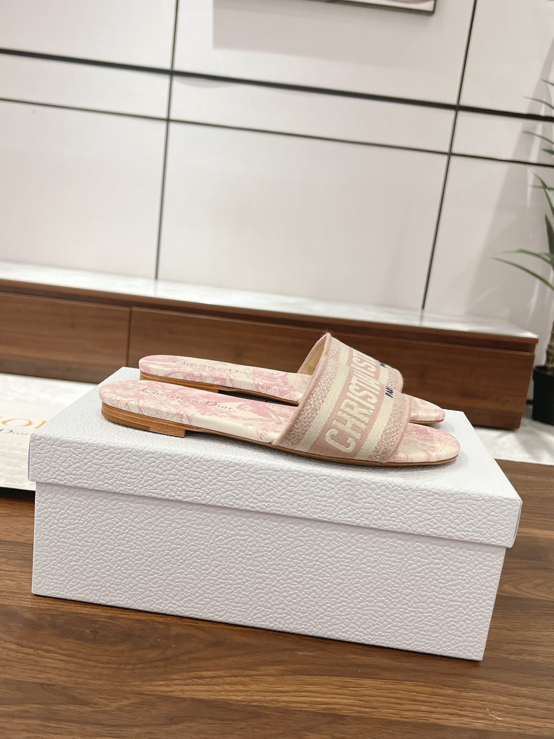 Dior Slides