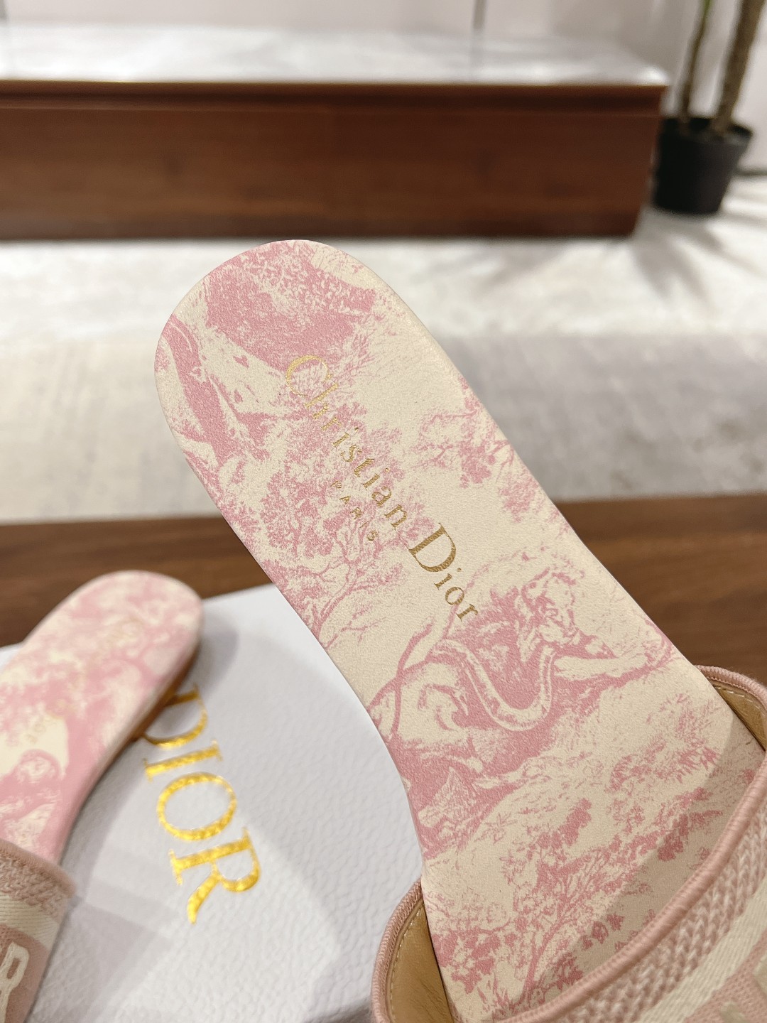 Dior Slides