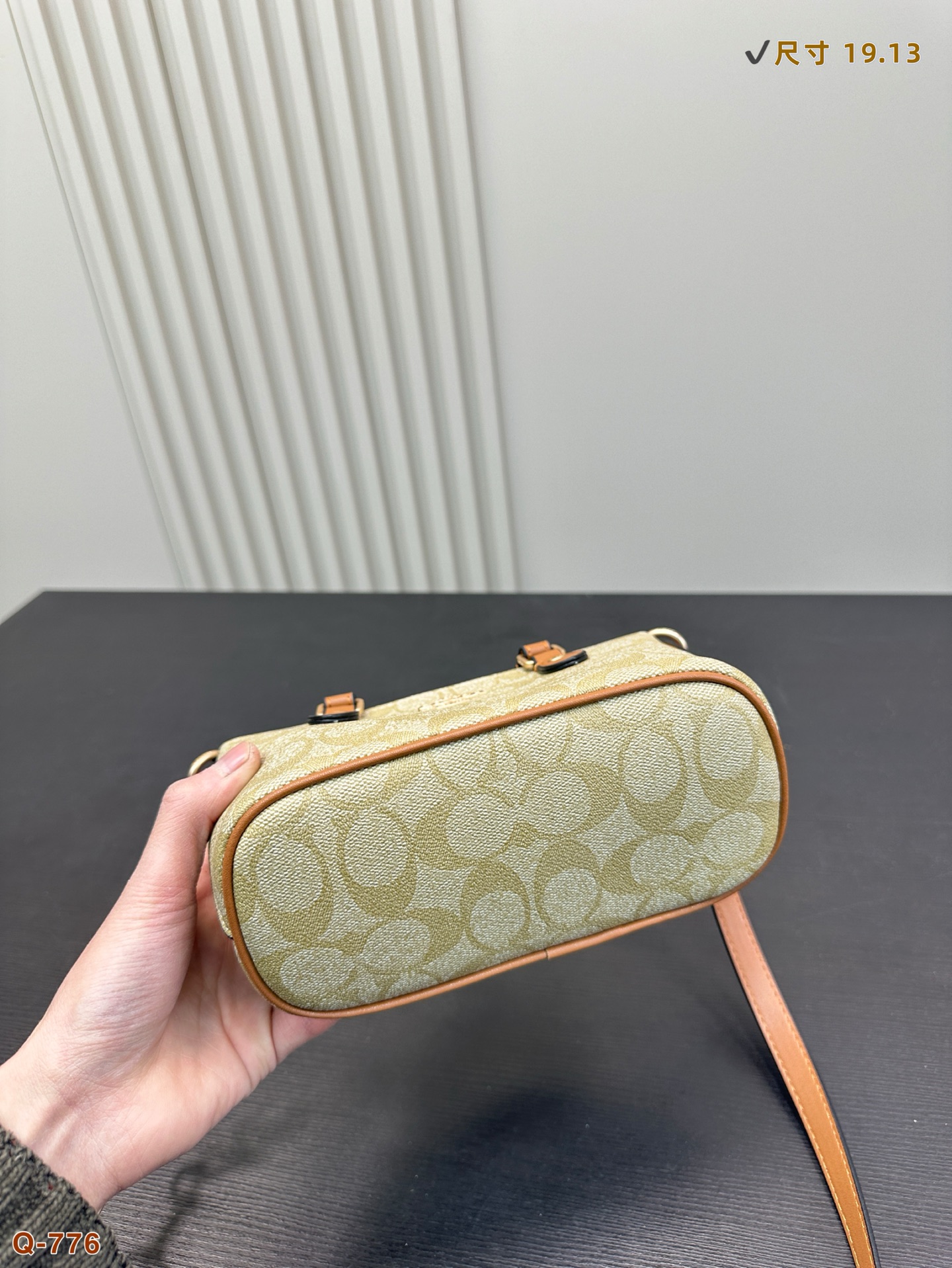 Coach Handbag Crossbody Bag, Retro Design, High-End and Elegant,19*13cm 8 i1740912982743 2850 0 6