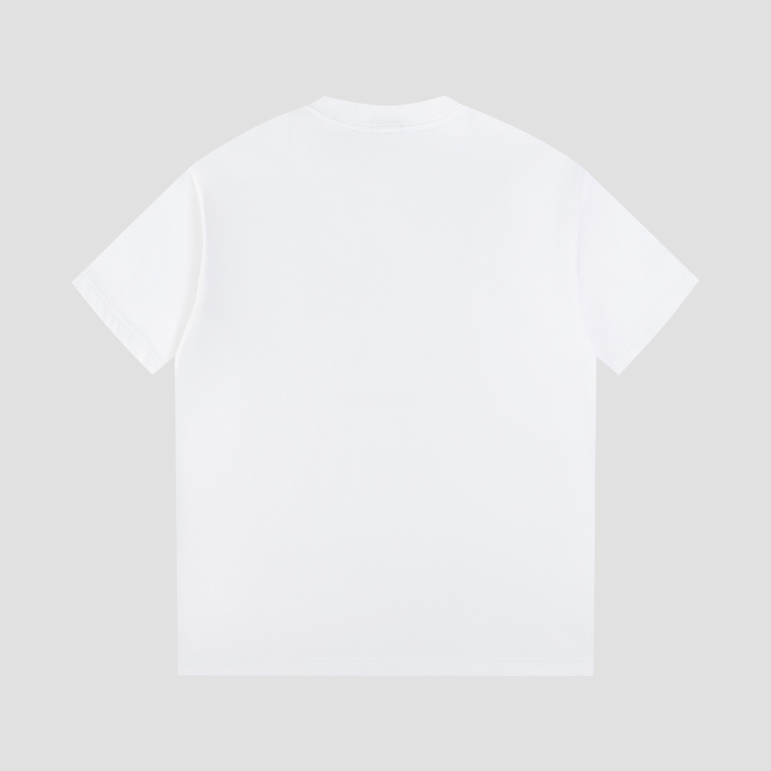 Ayc Teryx 2024 FW Short Sleeves T-shirts: High-End Fabric, Black & White, Multiple Sizes - 图片 2
