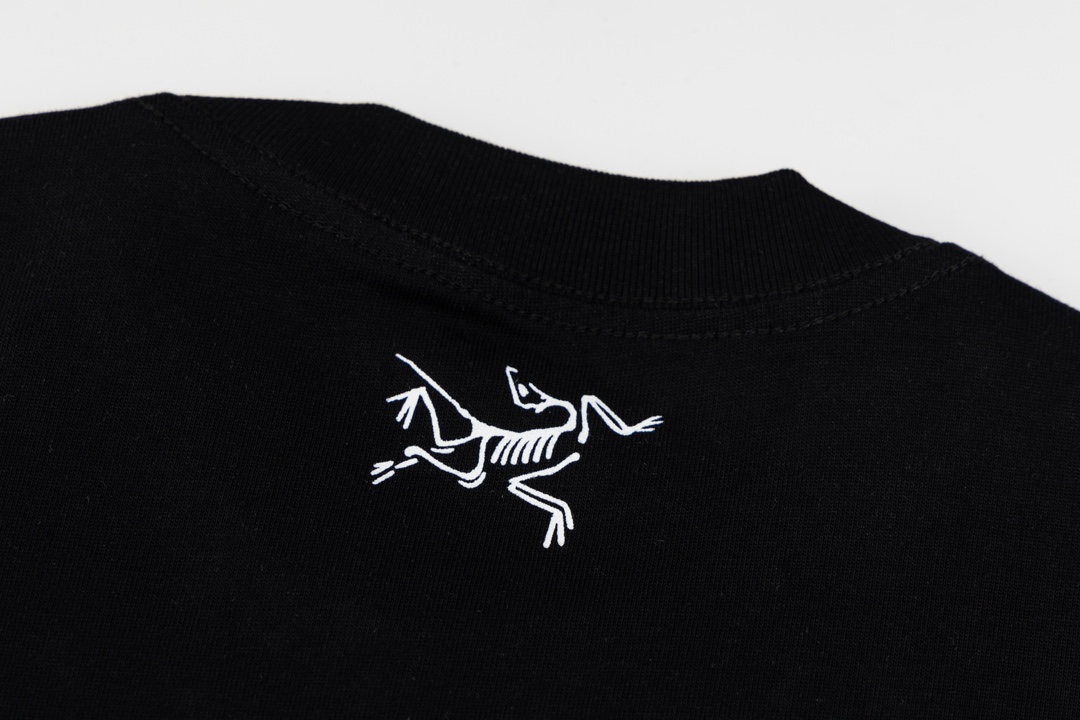 Ayc Teryx 2024FW Short Sleeve T-Shirt with Bird Letter Logo Stamp - 图片 5
