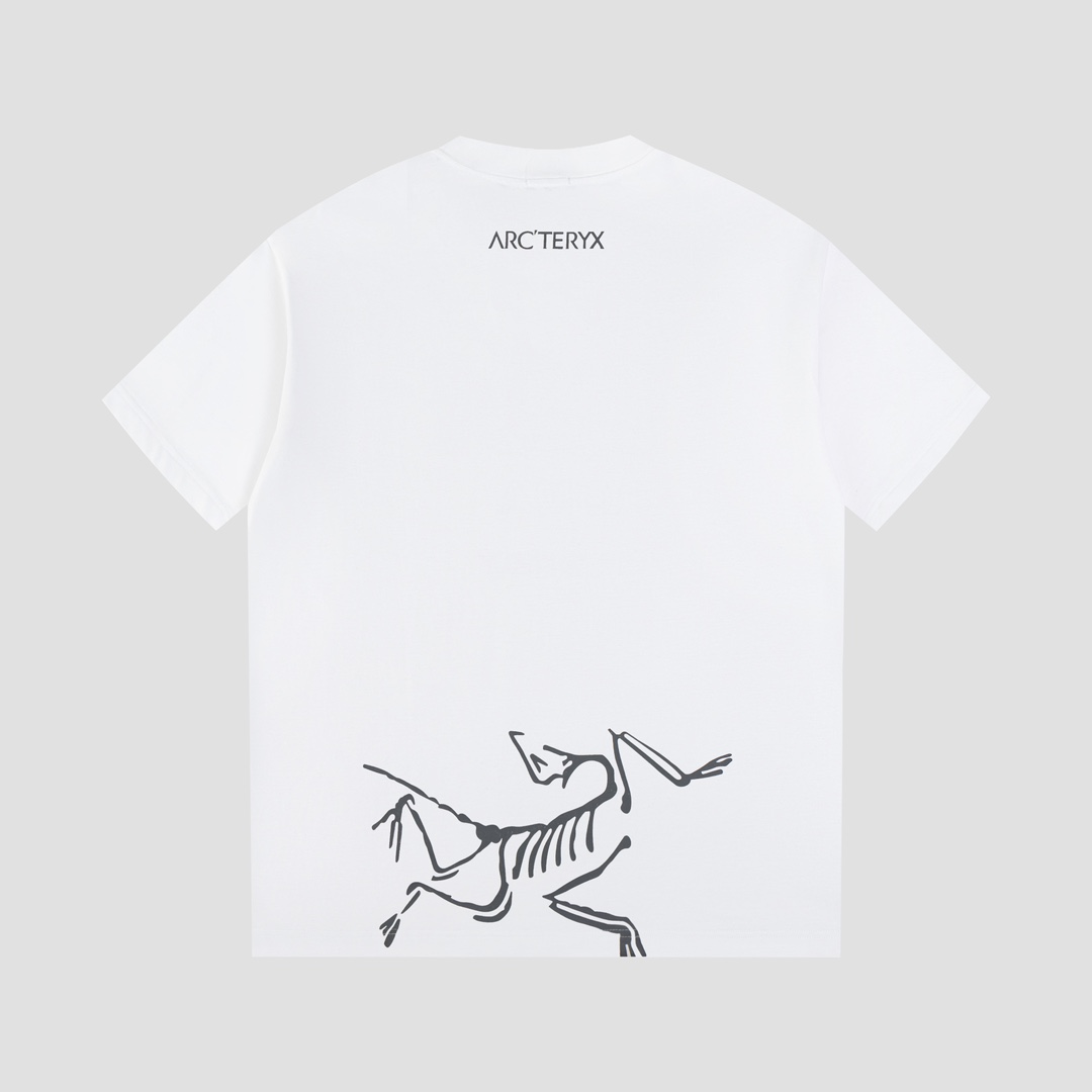 Ayc Teryx 2024FW Short Sleeve T-shirt with Bird Logo Stamp, High-End Fabric. - 图片 2