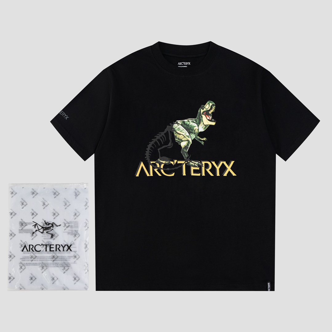 Ayc Teryx 2024FW Short Sleeves T-shirts with Bird Letter Logo Dragon Motion