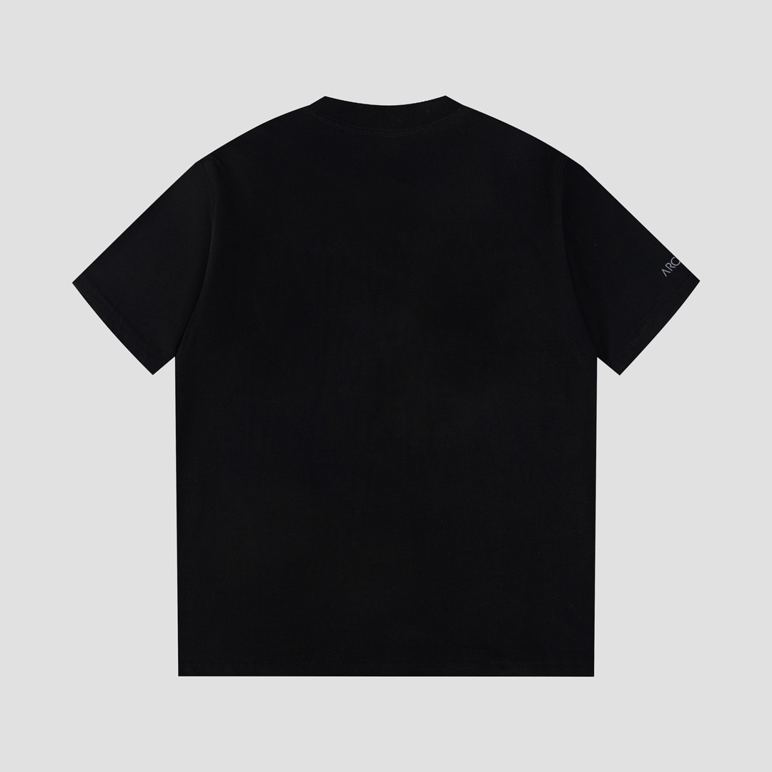 Ayc Teryx 2024FW Short Sleeves T-shirts with Bird Letter Logo Dragon Motion - 图片 2