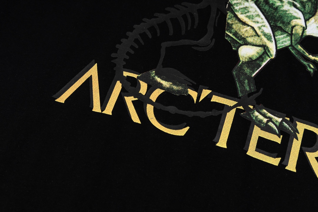 Ayc Teryx 2024FW Short Sleeves T-shirts with Bird Letter Logo Dragon Motion - 图片 6