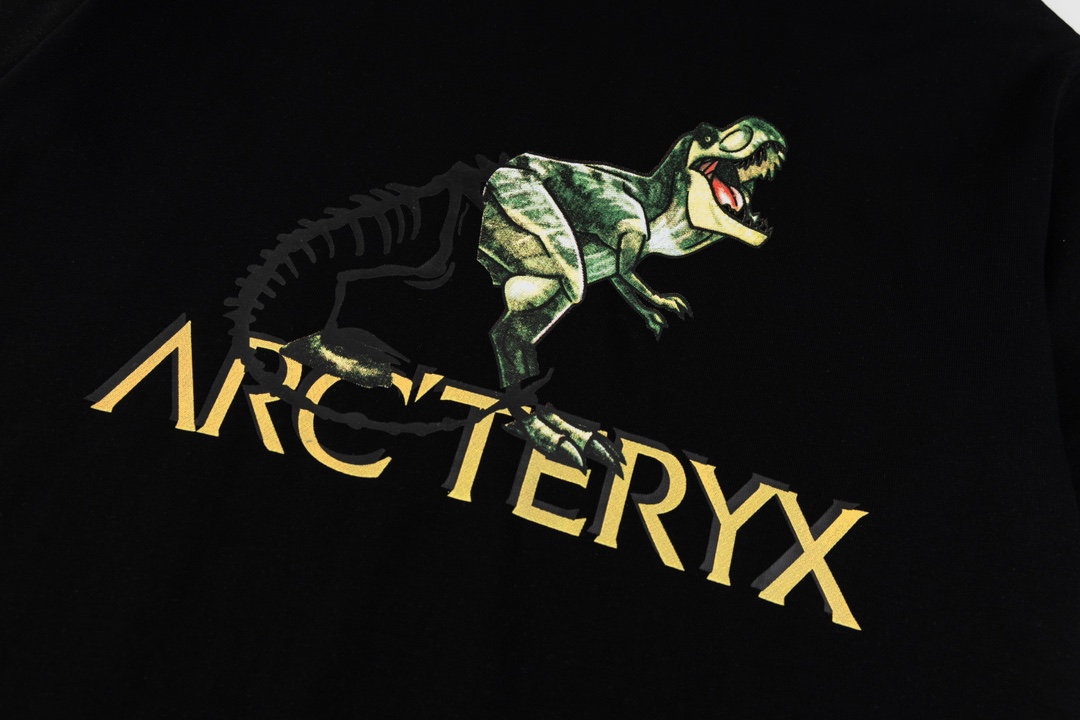 Ayc Teryx 2024FW Short Sleeves T-shirts with Bird Letter Logo Dragon Motion - 图片 4